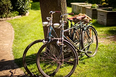 Fahrrad fahren in und um Burg (Spreewald)