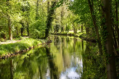 Die Hauptspree